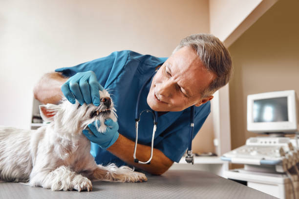 Best Emergency Denture Repair in Hazlehurst, MS